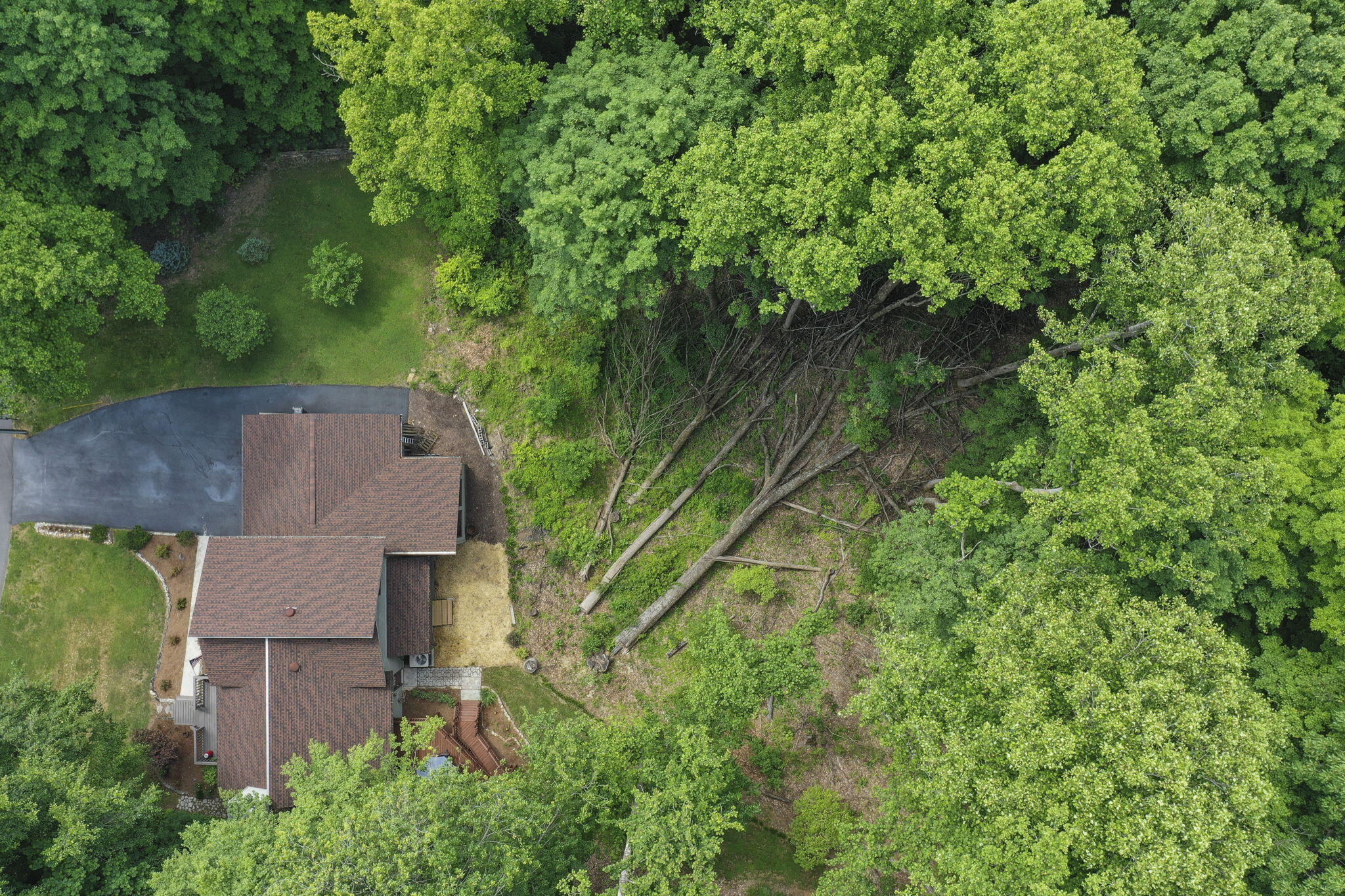 5-web-or-mls-DJI_0092a