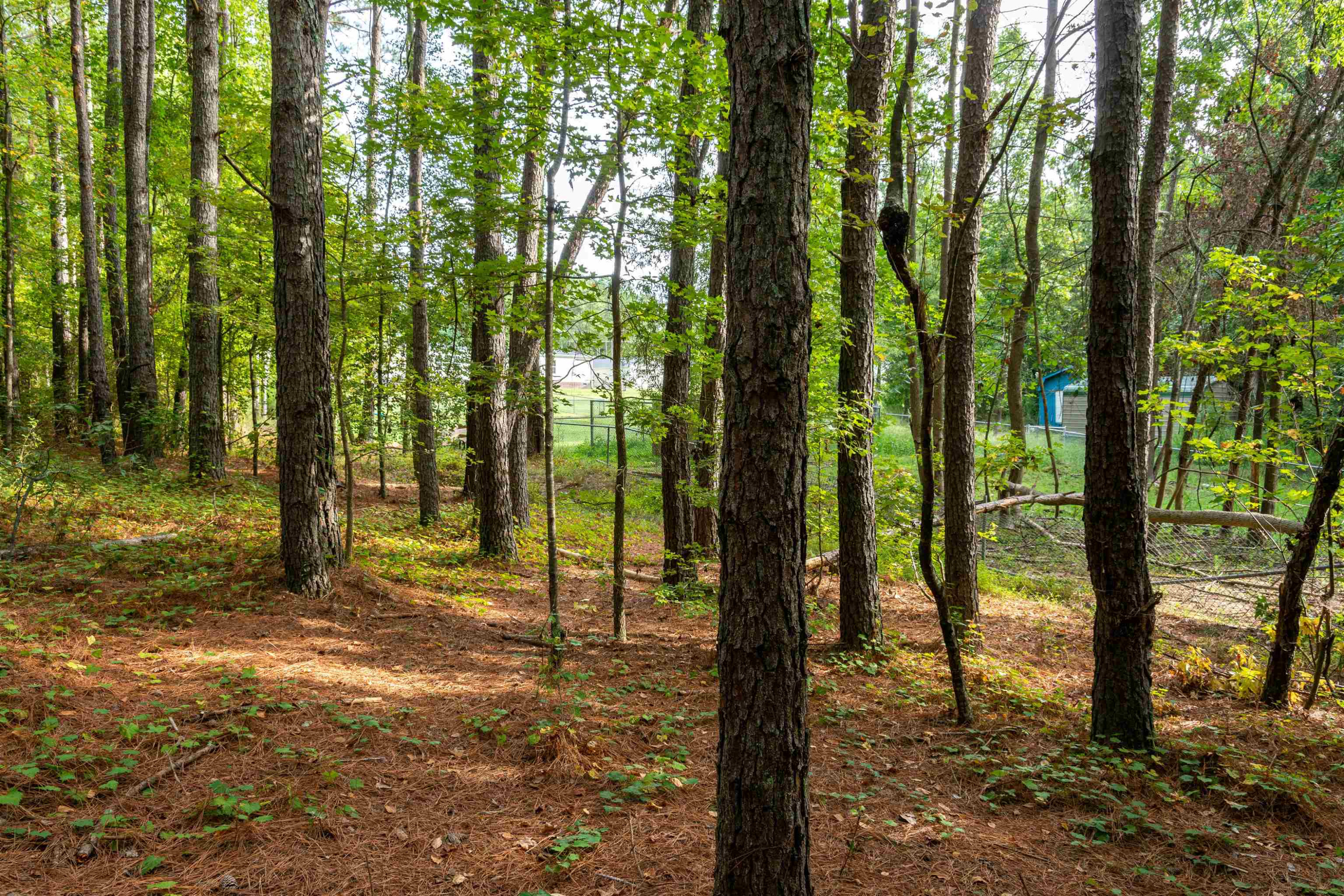 375 Godwin Road Benson, NC 27504 - Photo 9 of 63 Photo 9