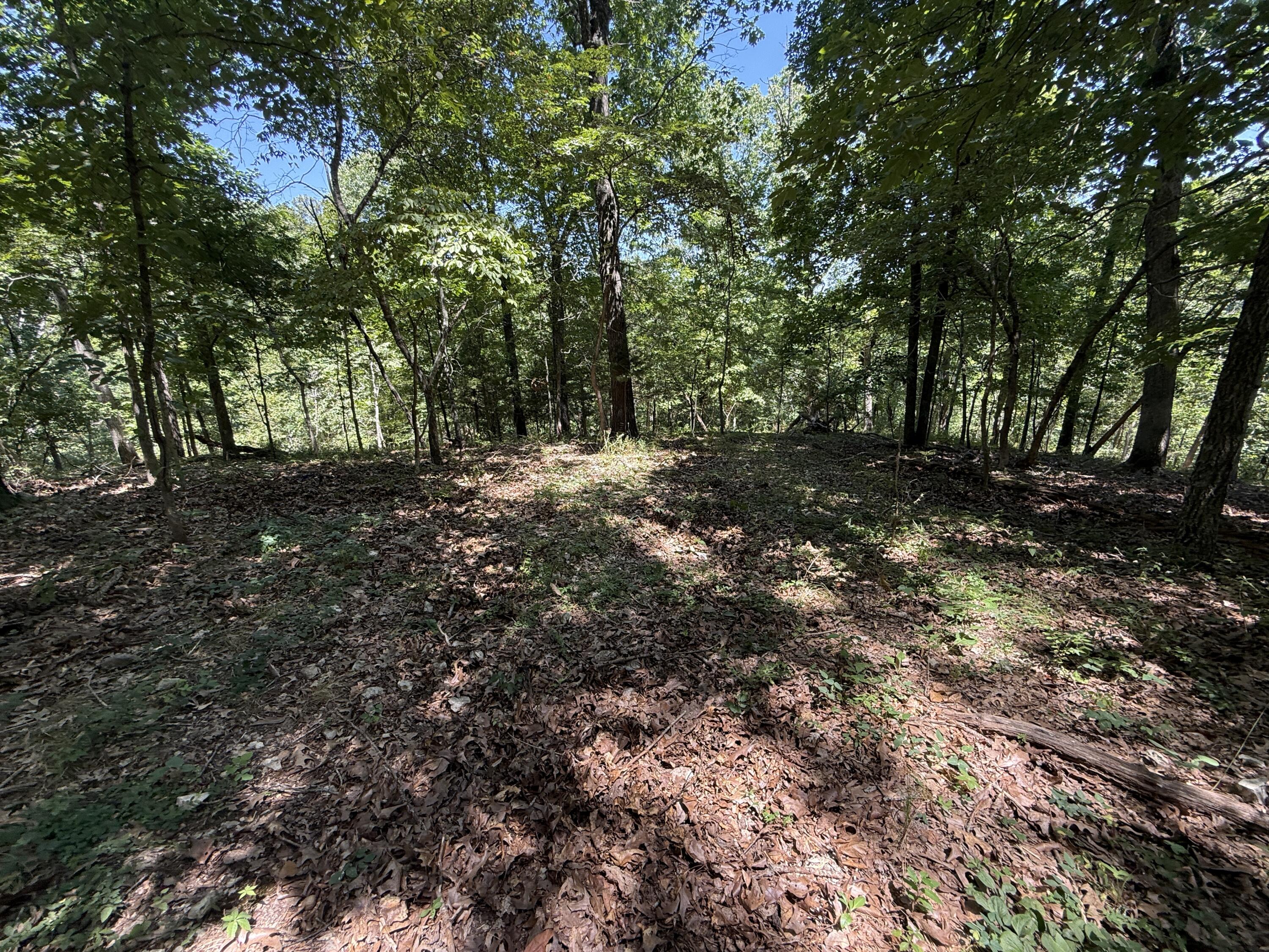 5219 Cowan Ridge Road Powell, MO 65730 - Photo 19 of 24 IMG_8518