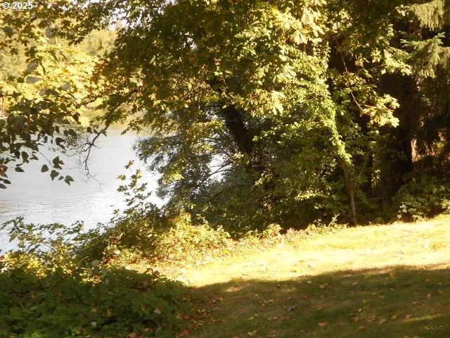 a view of yard covered with snow