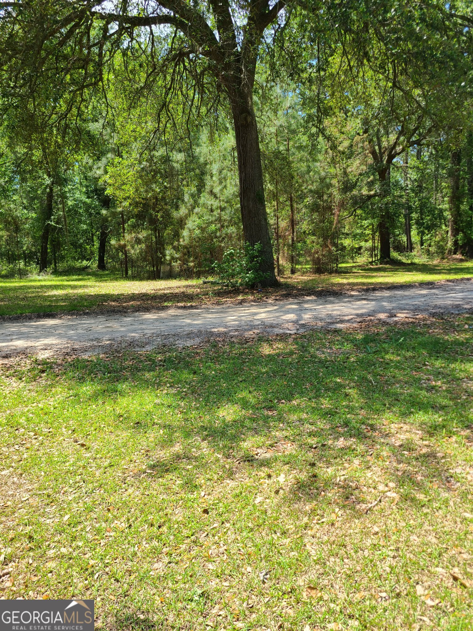 96 Annie Holt Road Glennville, GA 30427 - Photo 6 of 22