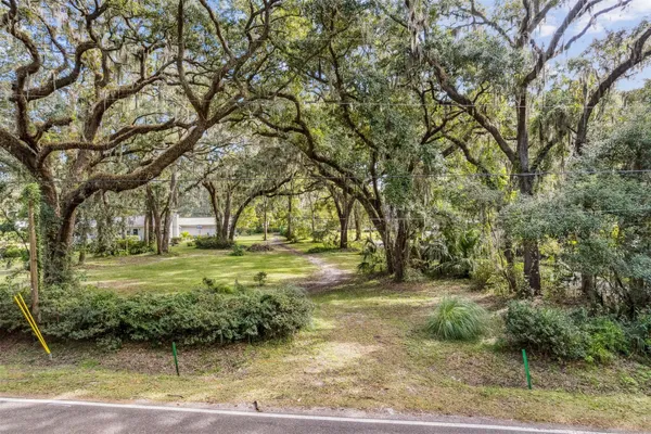 a view of a yard with plants and trees