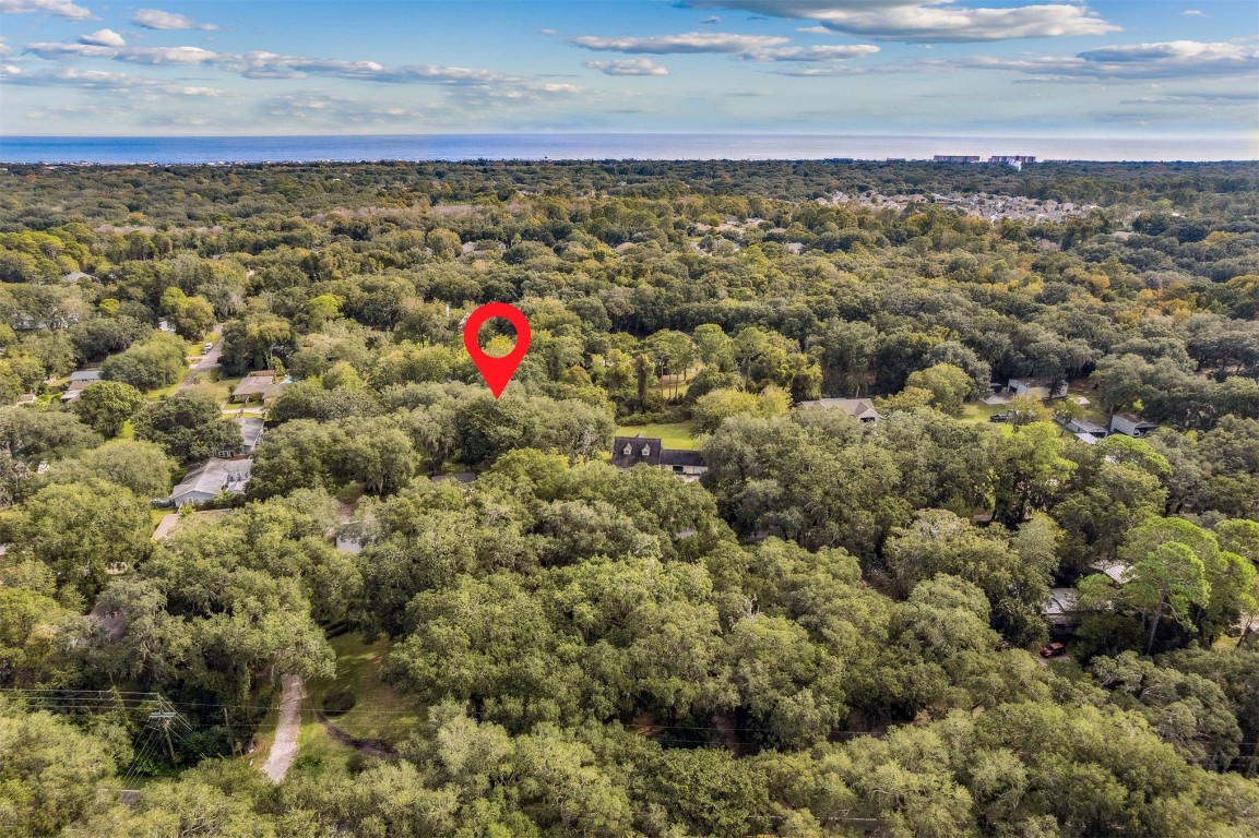 2552 Amelia Road Fernandina Beach, FL 32034 - Photo 2 of 7 a view of outdoor space and mountain view in back yard