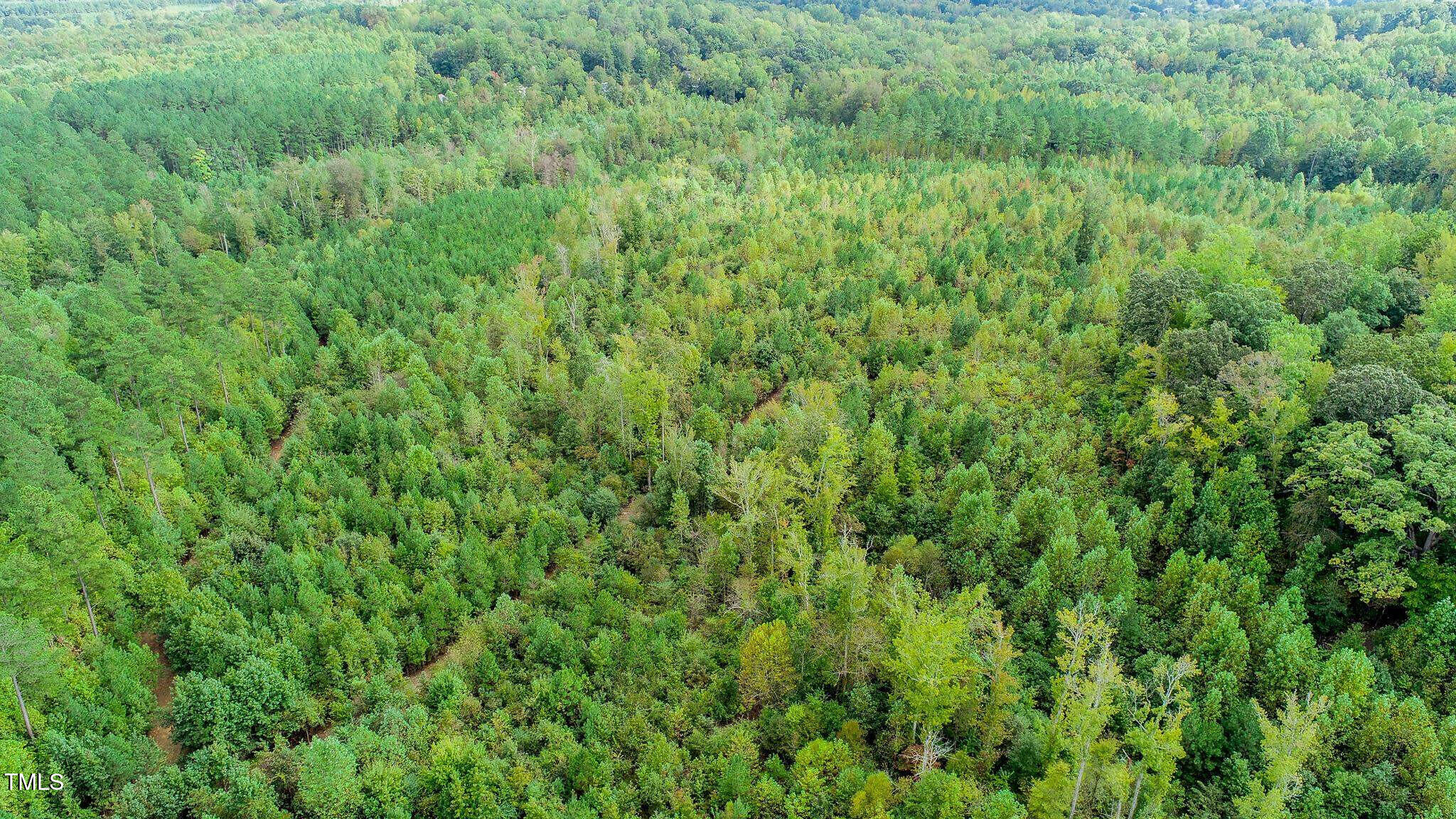 10620 North Roxboro Road Bahama, NC 27503 - Photo 10 of 13 n rox 11