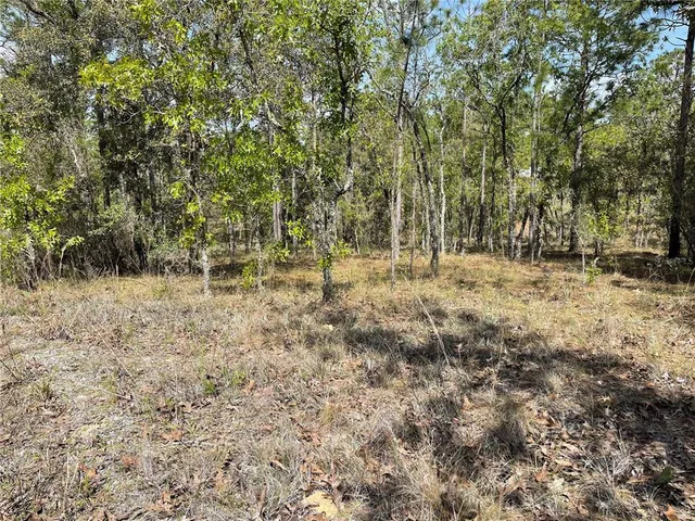 $45,000 | 6 Southeast 2nd Street, Williston, FL 32696