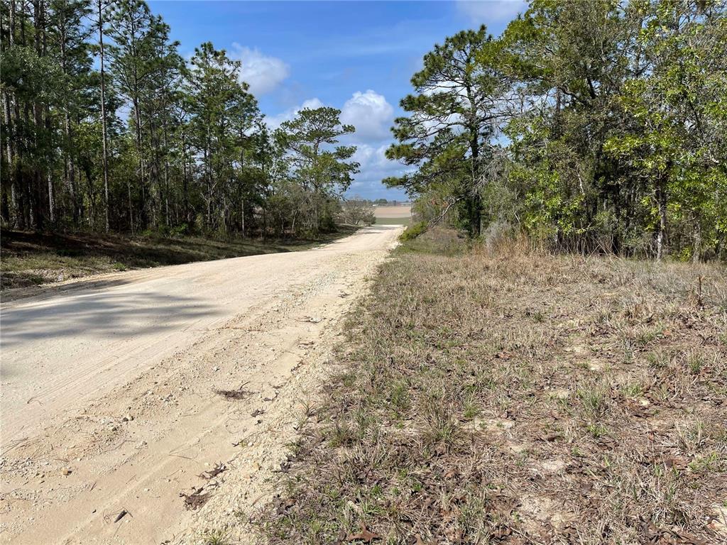 6 Southeast 2nd Street Williston, FL 32696 - Photo 5 of 5