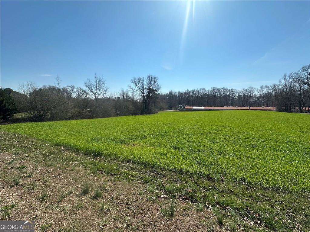 0 Wallace Wood Road Gainesville, GA 30506 - Photo 1 of 1 a view of field with tall trees