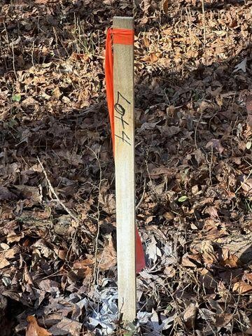 4 Northwest Lower River Road Charleston, TN 37310 - Photo 2 of 4