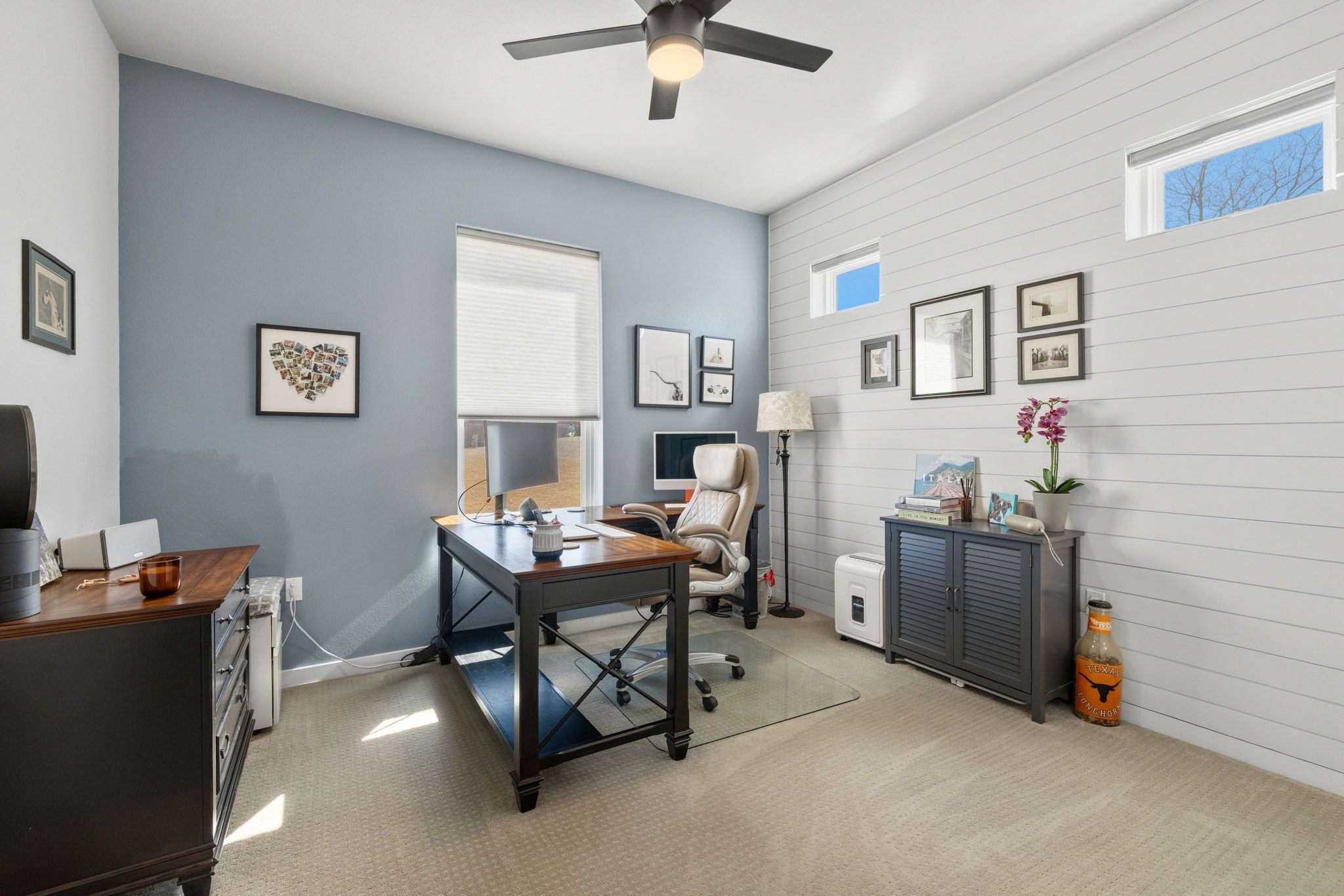 14302 Summit View Drive, Unit 4 Leander, TX 78641 - Photo 18 of 40 Home office with light colored carpet, plenty of natural light, ceiling fan, and wood walls