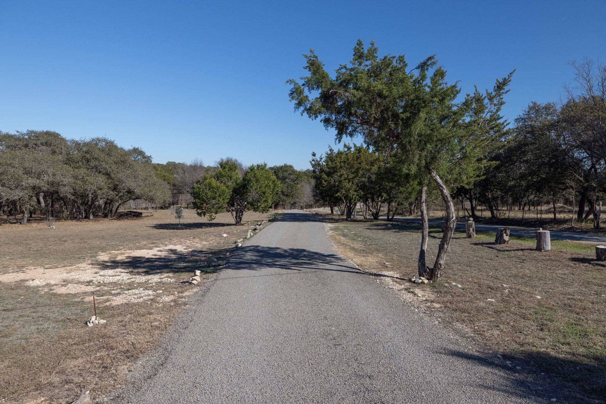 14302 Summit View Drive, Unit 4 Leander, TX 78641 - Photo 28 of 40 View of street
