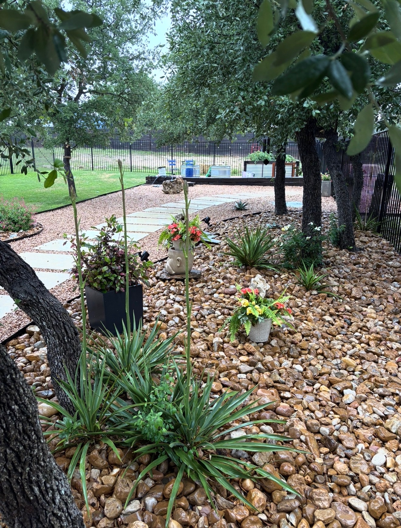 14302 Summit View Drive, Unit 4 Leander, TX 78641 - Photo 38 of 40 View of yard