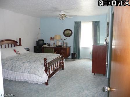 35105 Martin Road Willoughby, OH 44094 - Photo 11 of 18 Very large master with neutral decor.