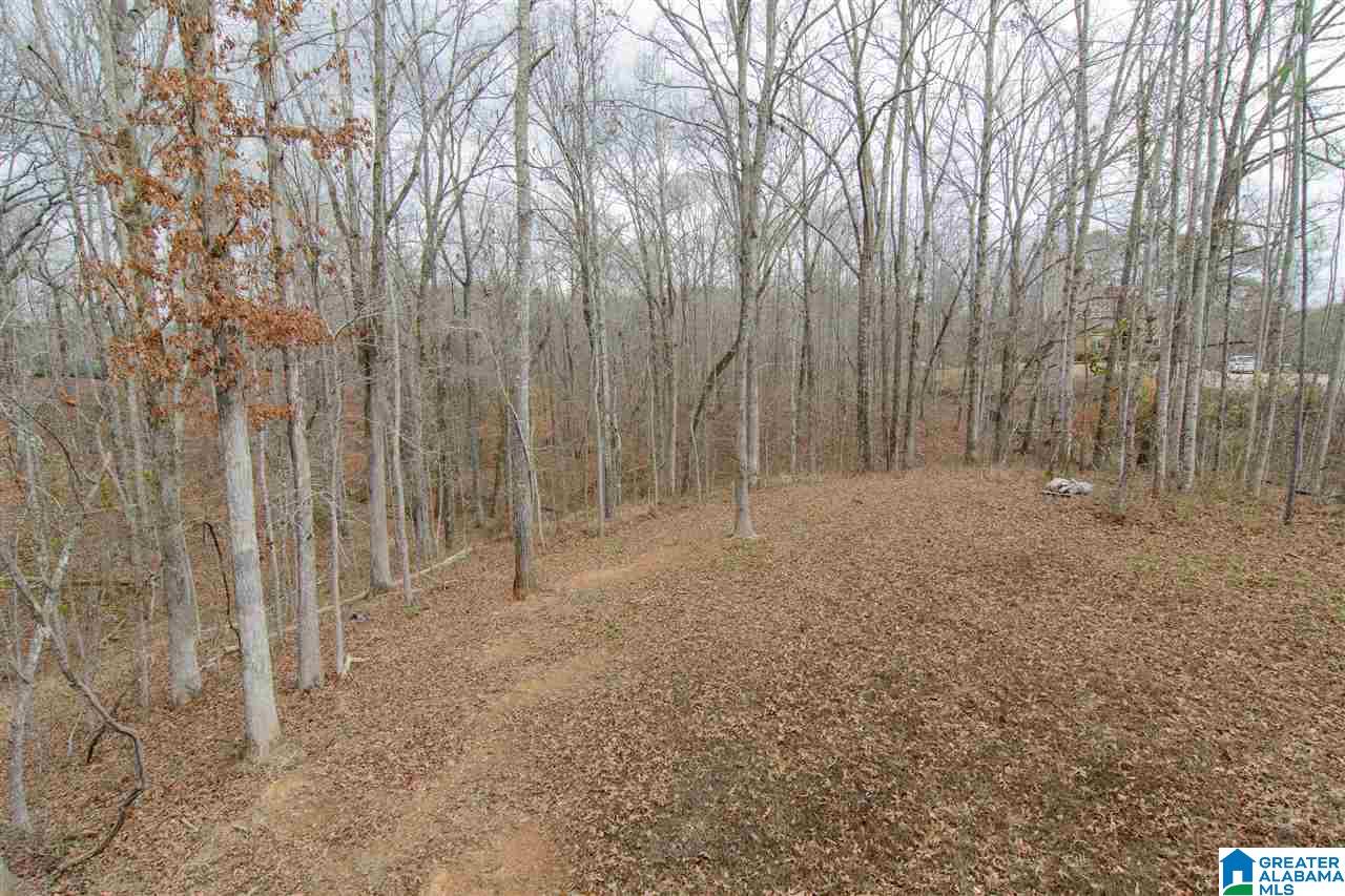 112 Highland Ridge Drive Chelsea, AL 35043 - Photo 41 of 42