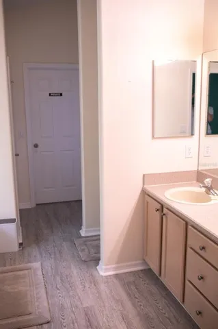 a bathroom with a sink and a mirror