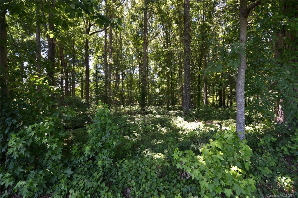 3 Graham Road, Unit 3 Denver, NC 28037 - Photo 3 of 3 Gallery Image 3