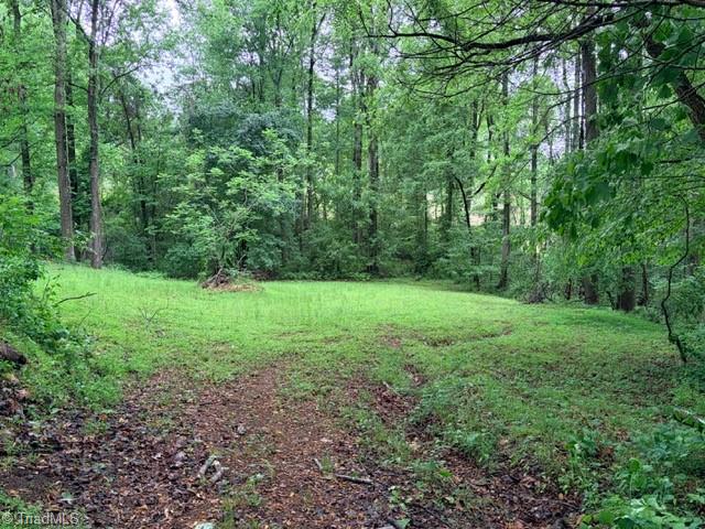 786 Central Road Clemmons, NC 27012 - Photo 10 of 49