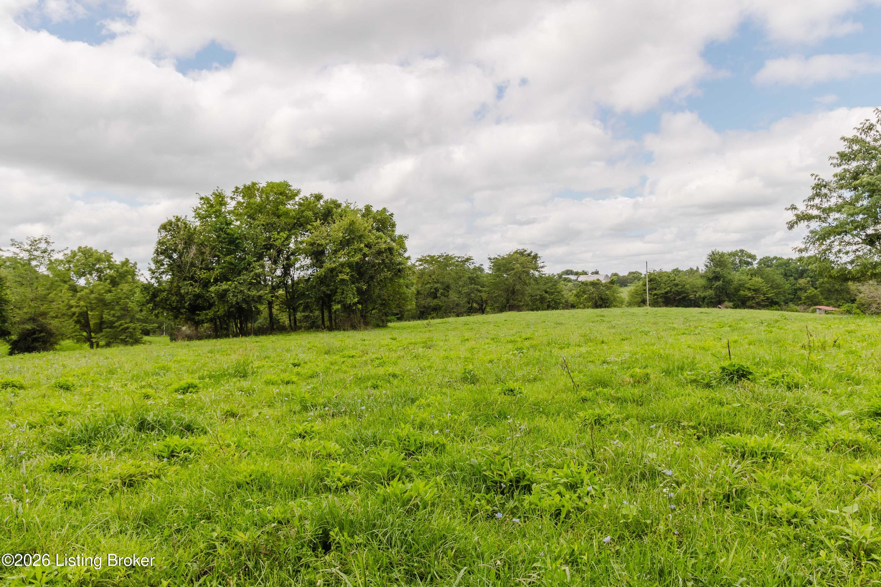 7438 Bagdad Road Bagdad, KY 40003 - Photo 27 of 78 7438 and 5015 Bagdad Rd-26