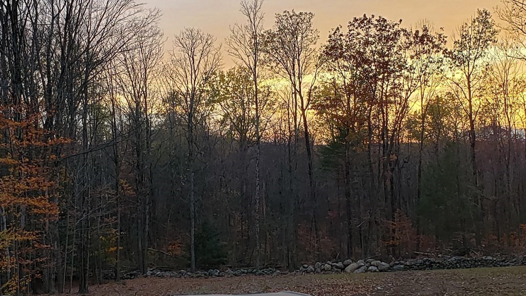0 Campbell Road Chester, MA 01011 - Photo 2 of 4