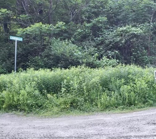 0 Campbell Road Chester, MA 01011 - Photo 3 of 4