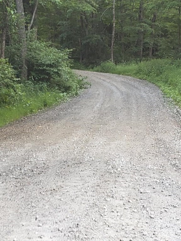 0 Campbell Road Chester, MA 01011 - Photo 4 of 4