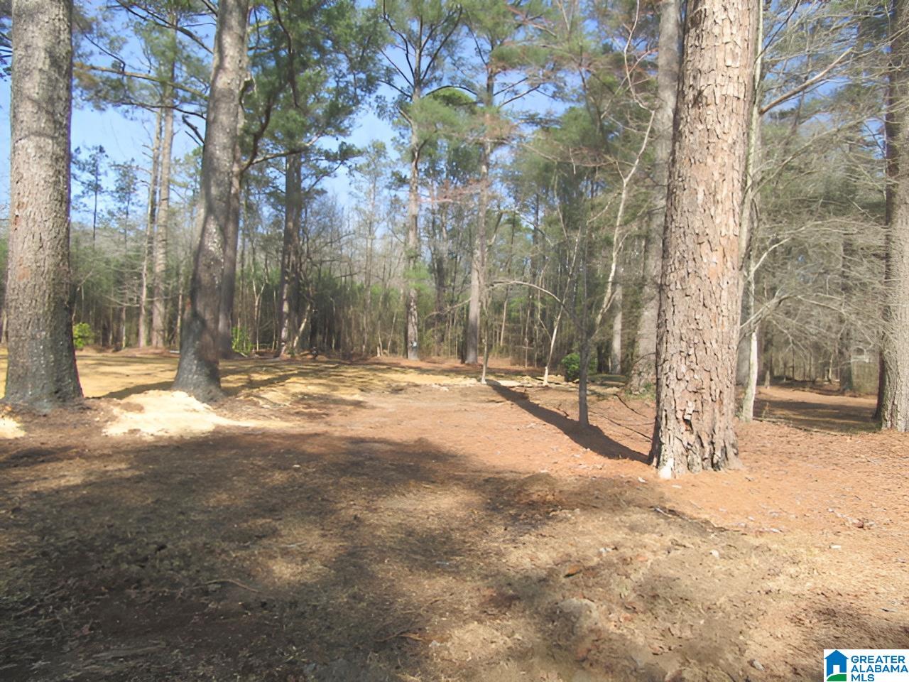 4429 Roy Webb Road Jacksonville, AL 36265 - Photo 20 of 26