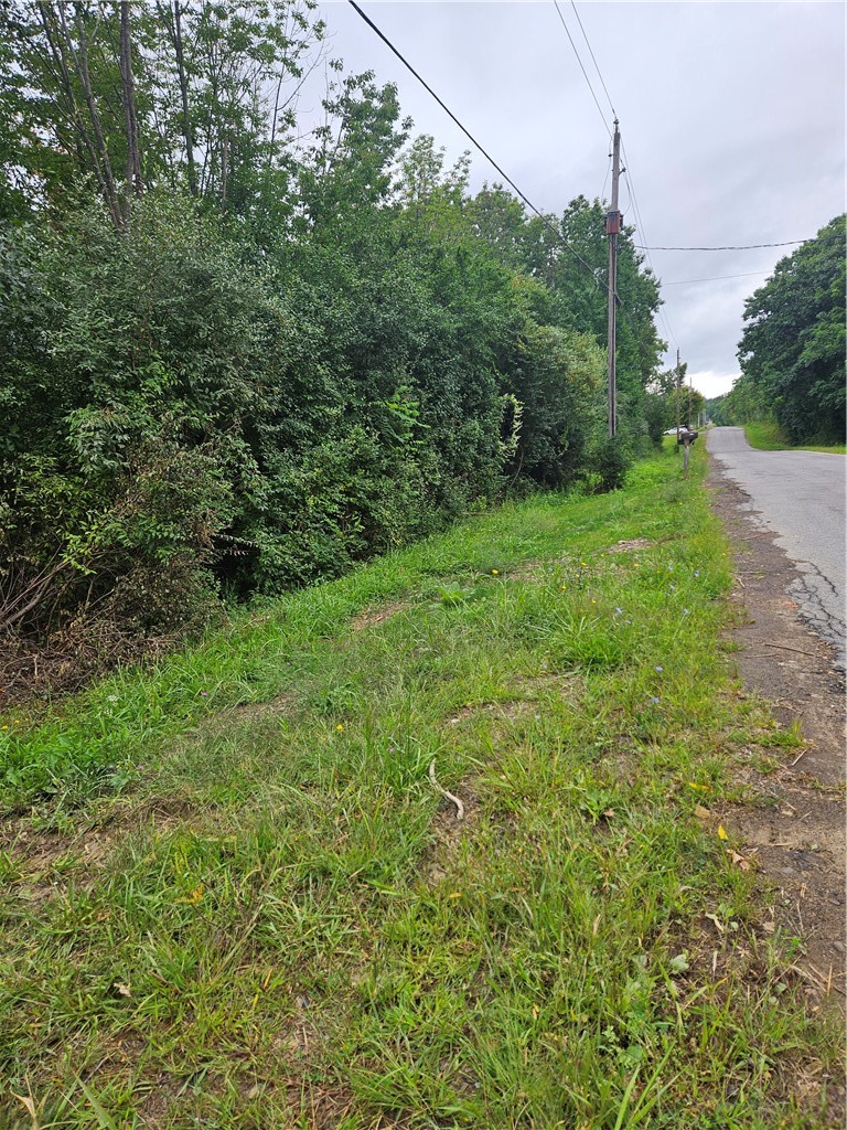 Bailey Road Groveland, NY 14462 - Photo 2 of 4 Northern road frontage