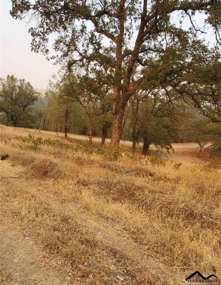 16575 Oakridge Road Corning, CA 96021 - Photo 5 of 21