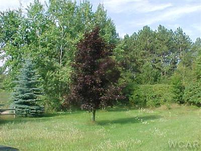 22970 2 Mile Road Reed City, MI 49677 - Photo 6 of 6 Additional Photo