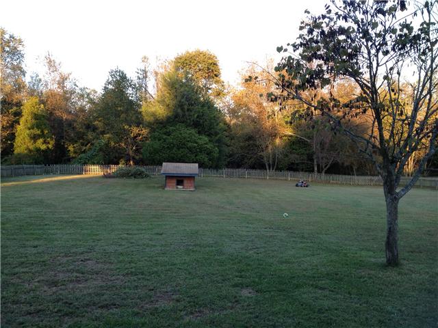 3979 Cross Plains Road Springfield, TN 37172 - Photo 8 of 15 a backyard of a house with lots of green space