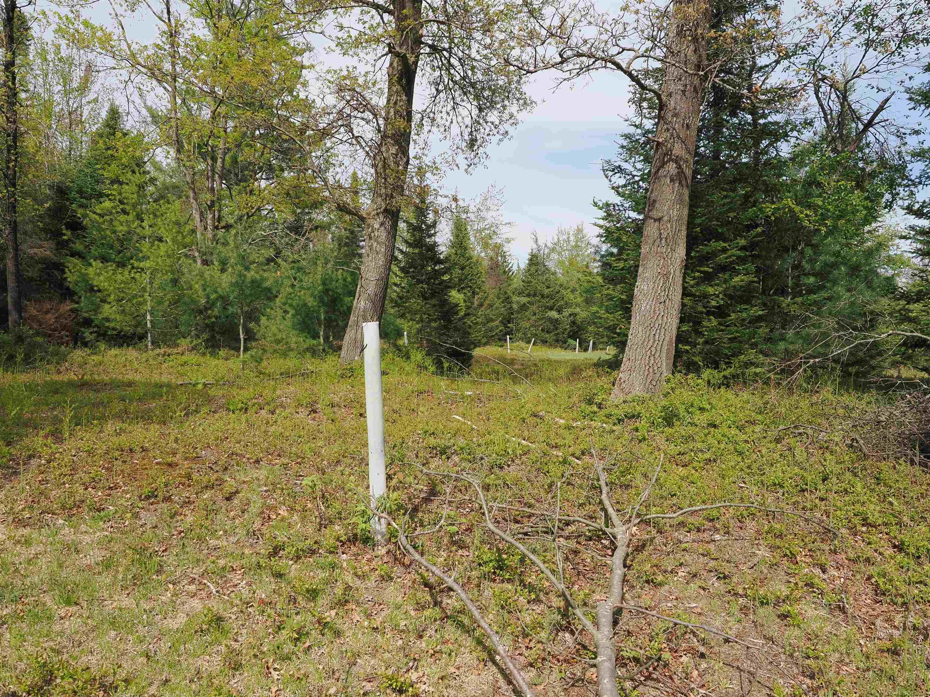 4011 Sandall Road Alpena, MI 49707 - Photo 42 of 73