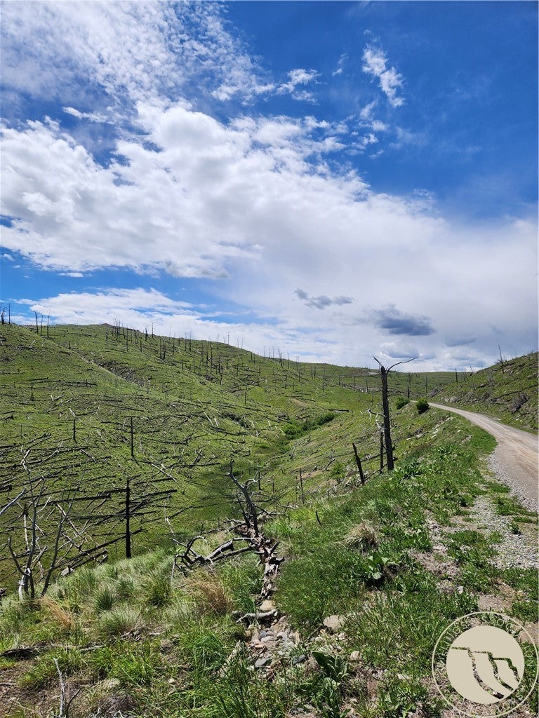 Lot 222 Arrowhead Ridge Road Reed Point, MT 59069 - Photo 1 of 3 Gallery Image 1