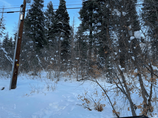 20 Success Trail, Unit 20 Midway, UT 84049 - Photo 15 of 18 View of yard layered in snow