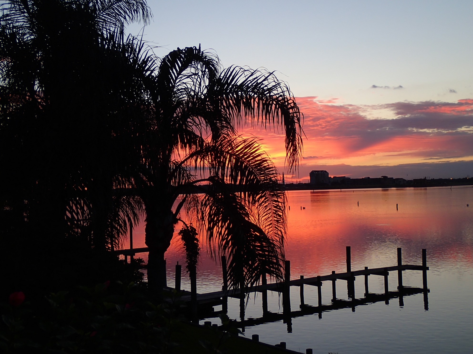 2414 Baycrest Drive Houston, TX 77058 - Photo 45 of 48 a view of outdoor space with trees
