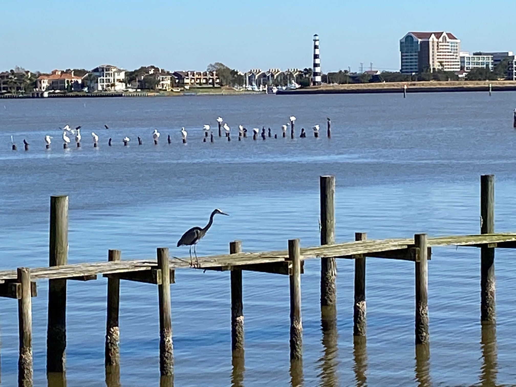 2414 Baycrest Drive Houston, TX 77058 - Photo 48 of 48 a view of a balcony with wooden floor and city view