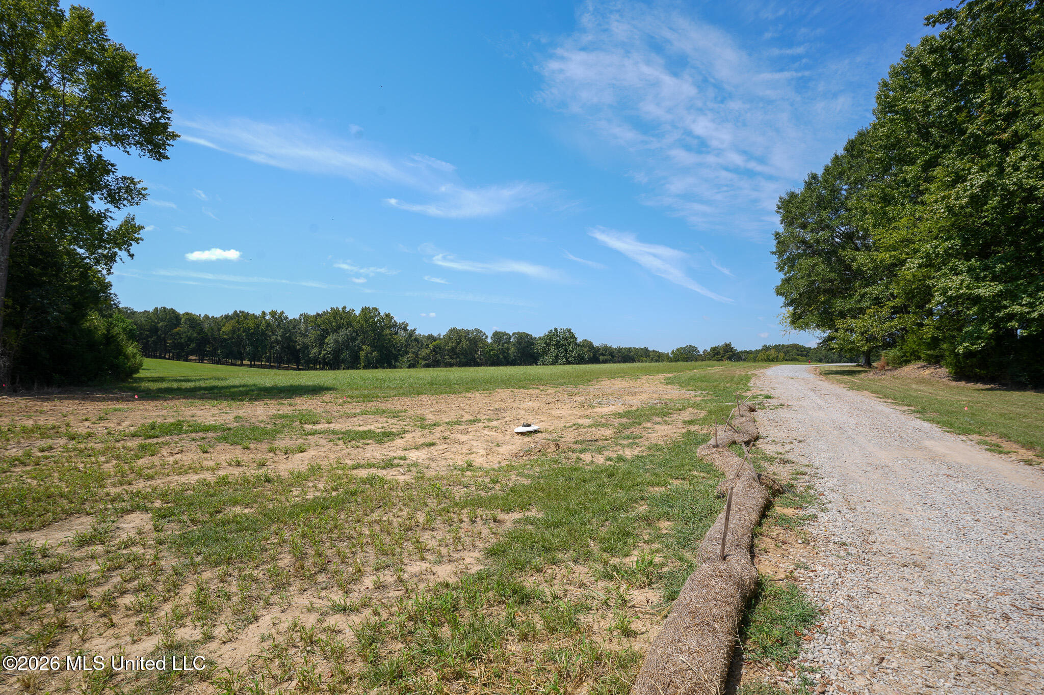 Grand Oaks Way Flora, MS 39071 - Photo 3 of 5 DSC03435