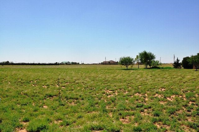 6450 Foster Road Ropesville, TX 79358 - Photo 3 of 10 10 acre's.
