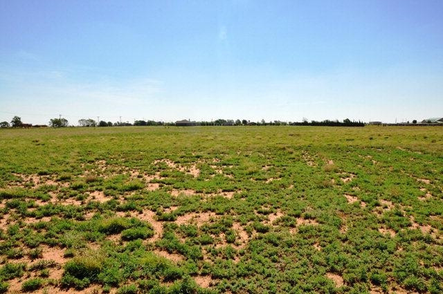 6450 Foster Road Ropesville, TX 79358 - Photo 7 of 10 Photo 7