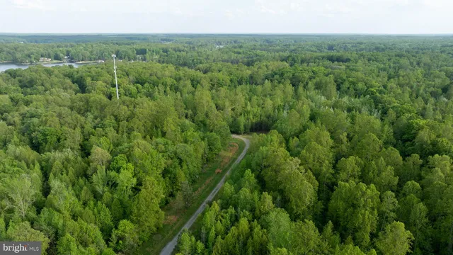 a view of a lush green forest with trees and some houses