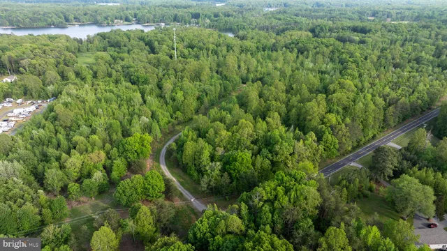 a view of a forest with a street