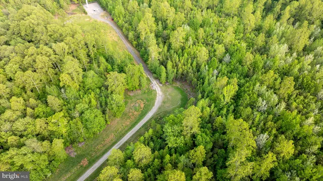 a view of a garden with a plant