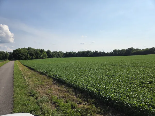 $749,900 | 0 Power Station Road, Taft, TN 38488