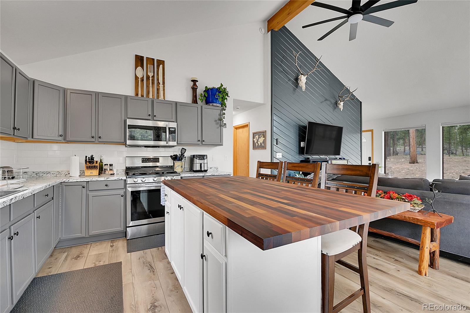 243 Bandit Lane Bailey, CO 80421 - Photo 11 of 46 Gallery Image 11