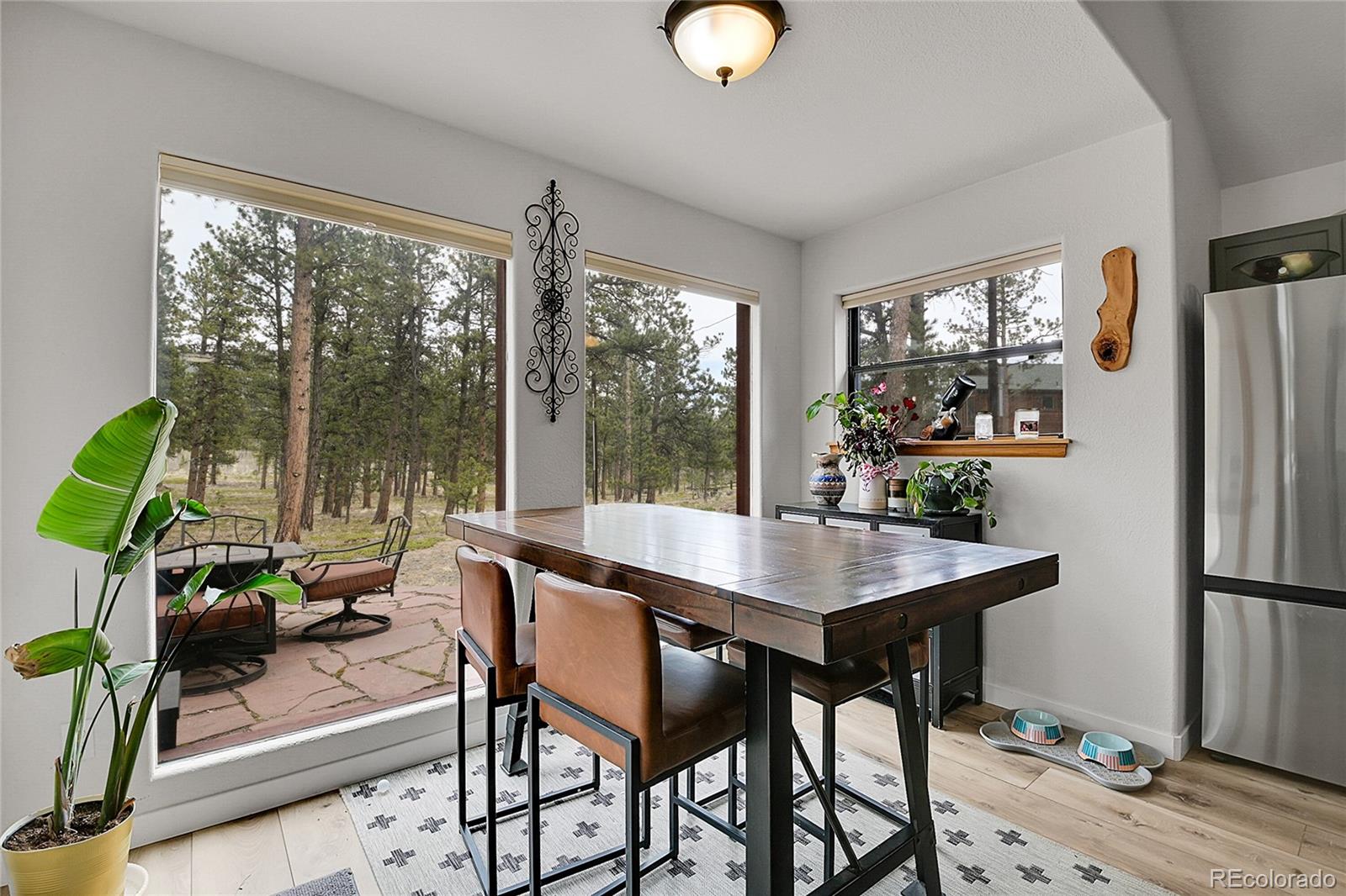 243 Bandit Lane Bailey, CO 80421 - Photo 13 of 46 Gallery Image 13