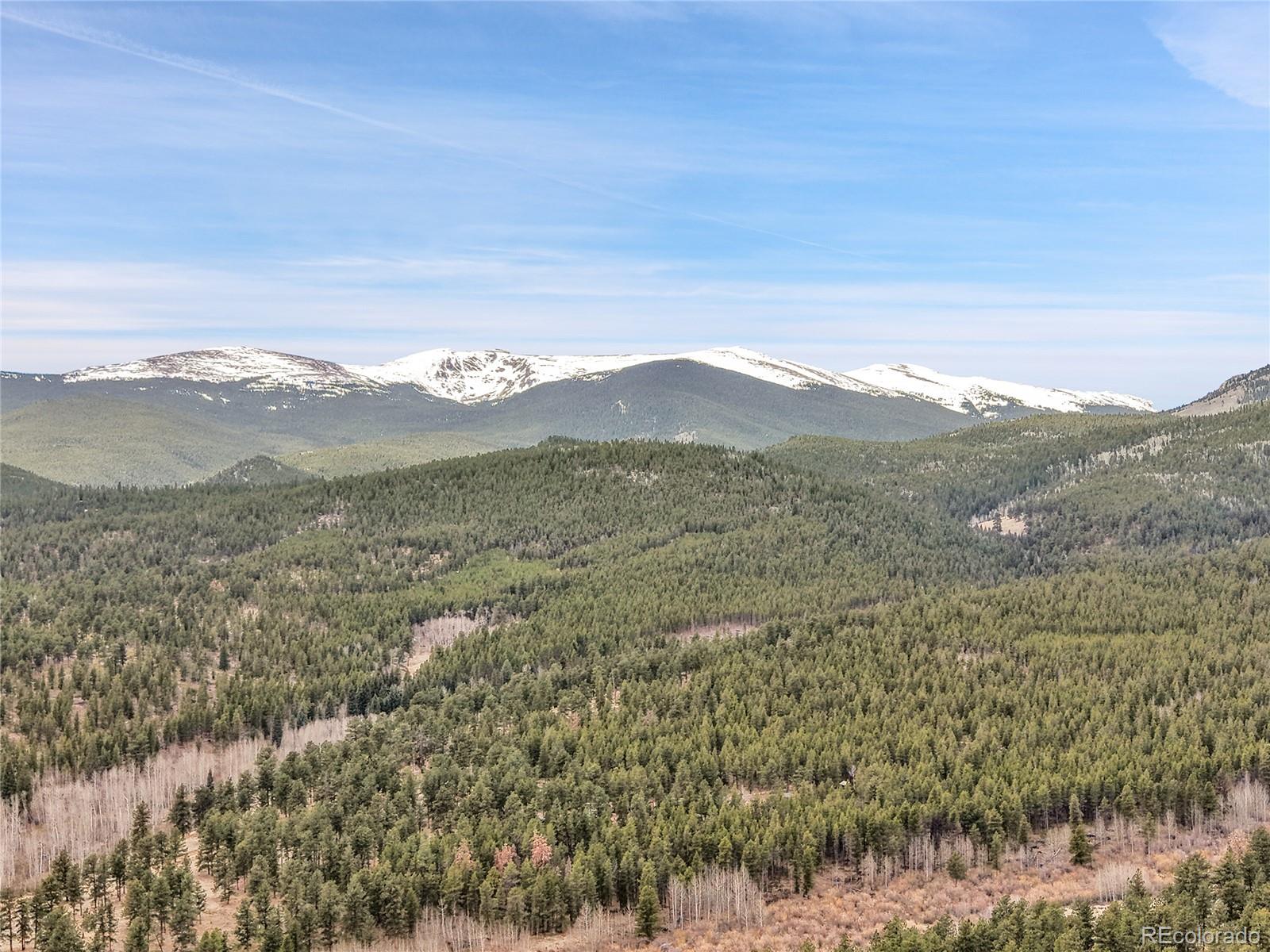 243 Bandit Lane Bailey, CO 80421 - Photo 42 of 46 Gallery Image 42