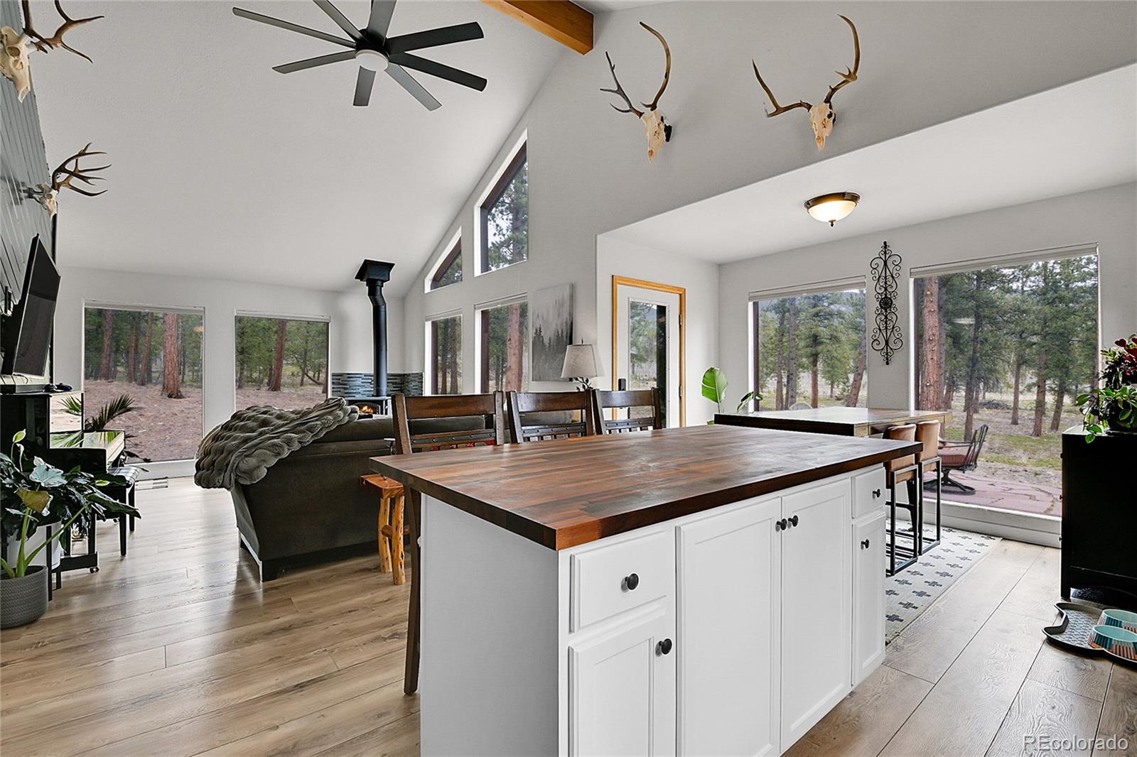 243 Bandit Lane Bailey, CO 80421 - Photo 8 of 46 Gallery Image 8