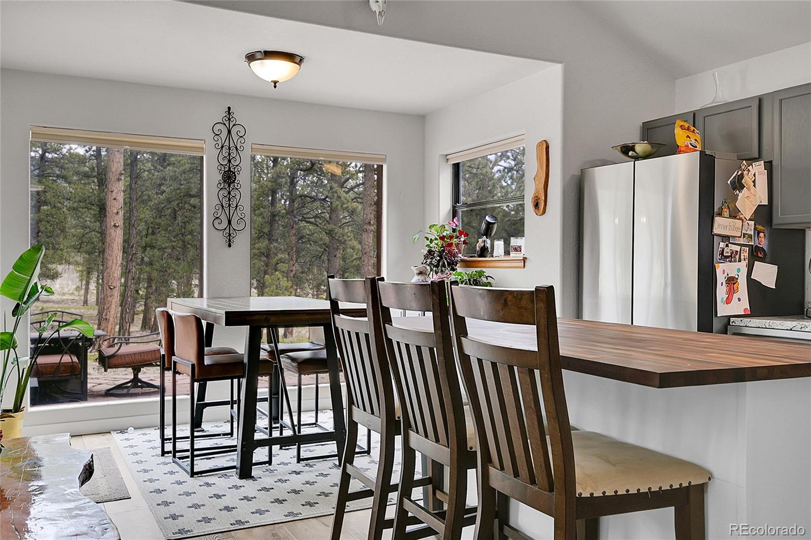 243 Bandit Lane Bailey, CO 80421 - Photo 9 of 46 Gallery Image 9