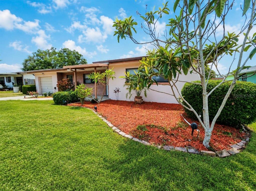 164 Pinewood Avenue Clearwater, FL 33765 - Photo 1 of 54