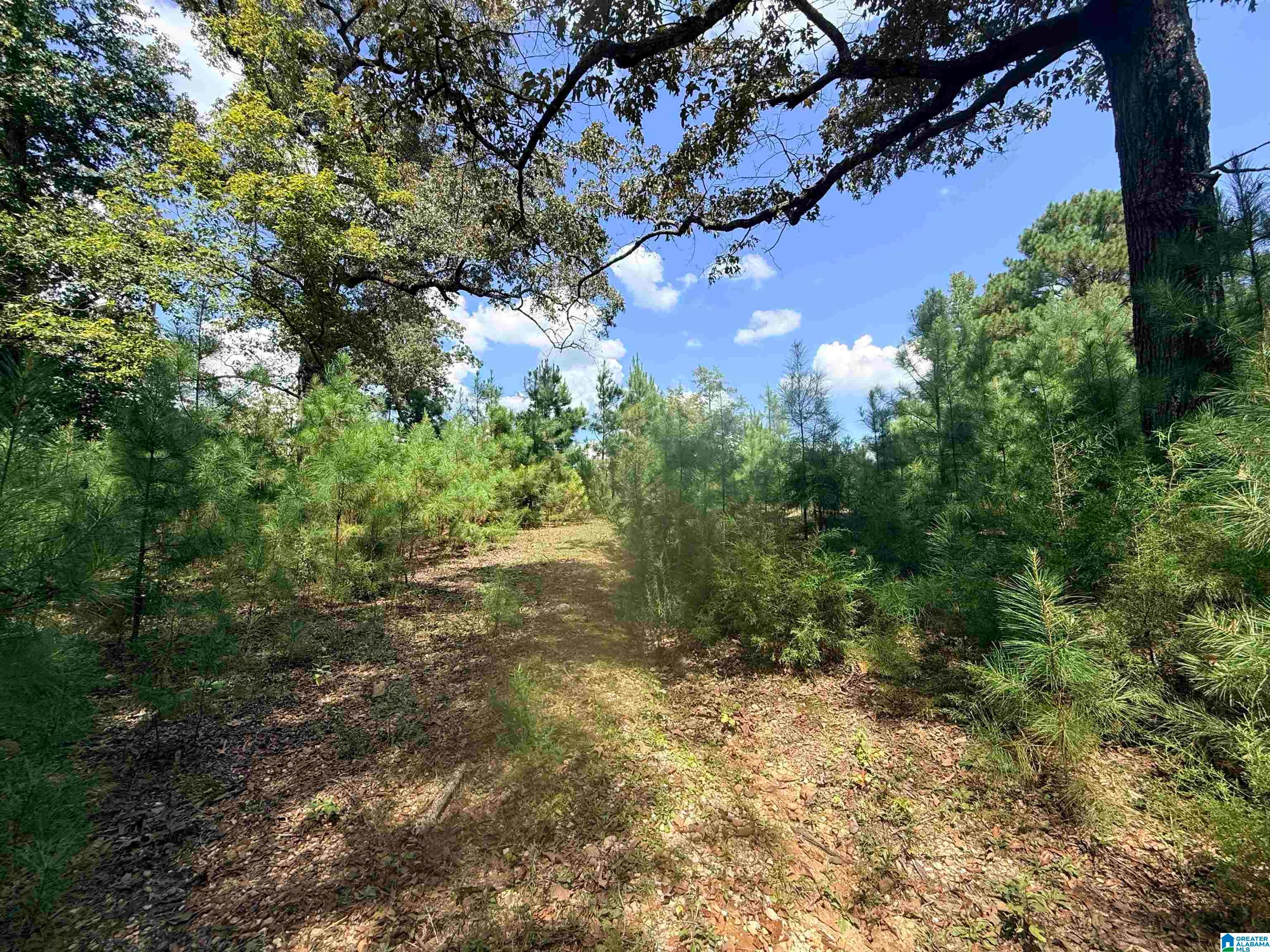 0 Rockyview Road West Blocton, AL 35184 - Photo 19 of 23 Gallery Image 19