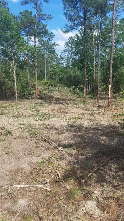 0 Silver Run Road Poplarville, MS 39470 - Photo 11 of 16 Gallery Image 11