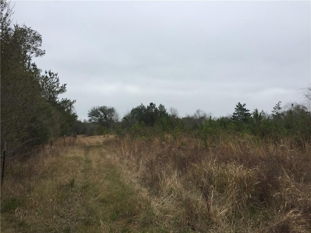 0 Silver Run Road Poplarville, MS 39470 - Photo 13 of 16 Gallery Image 13